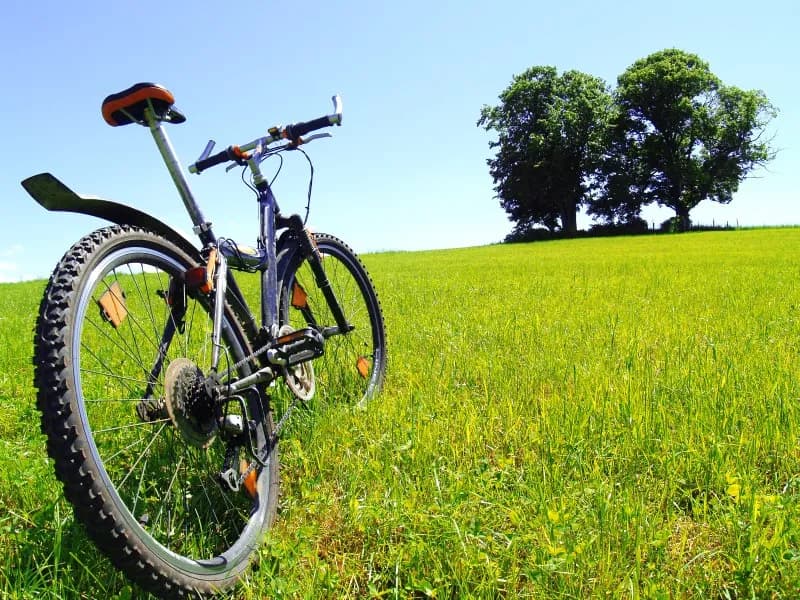 Jakie 5 tras w Pieninach rowerem oczarują Cię najbardziej? Porady