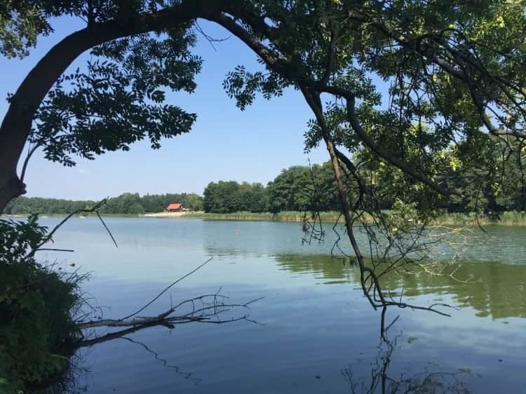 Jezioro Raczyńskie: najpiękniejsze atrakcje i miejsca wypoczynku w Zaniemyślu