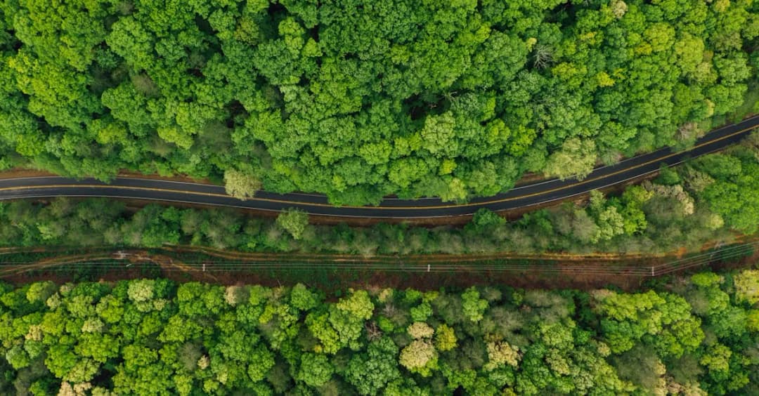 Kaszuby rowerem? Oto aż 7 tras o widokach, które zapierają dech