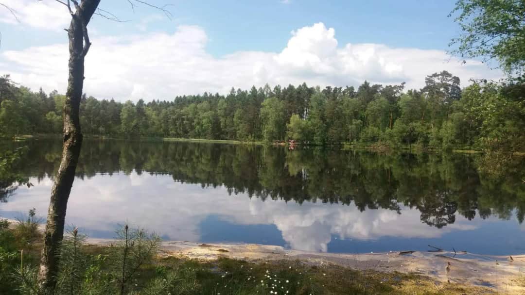 Czarny Staw w Puszczy Niepołomickiej: Tajemnice natury