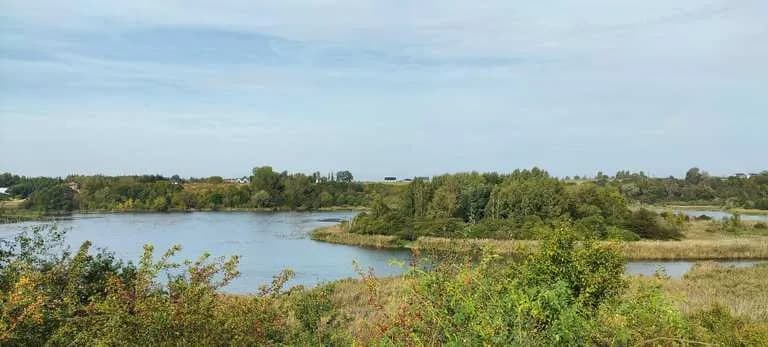 Najlepsze atrakcje w Swarzędzu, które musisz odwiedzić w tym roku