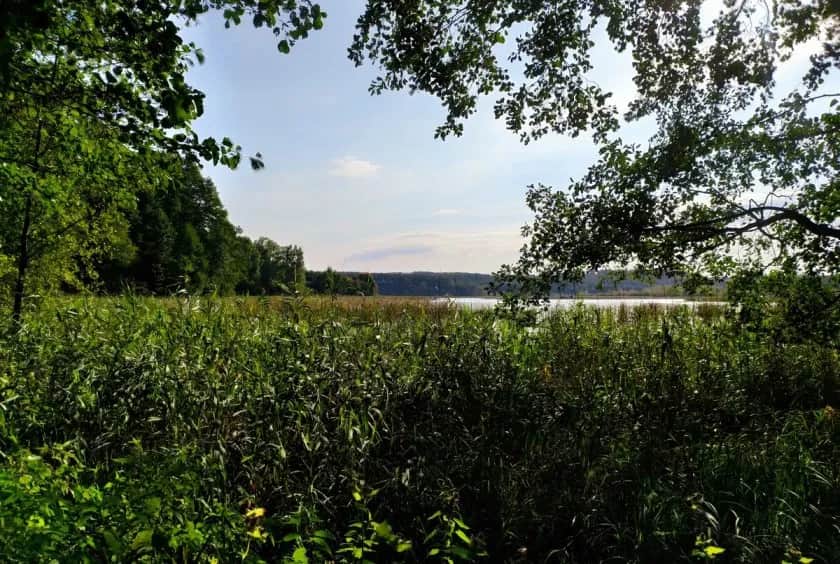 Jezioro Kielarskie - fascynujący zakątek Pojezierza Olsztyńskiego