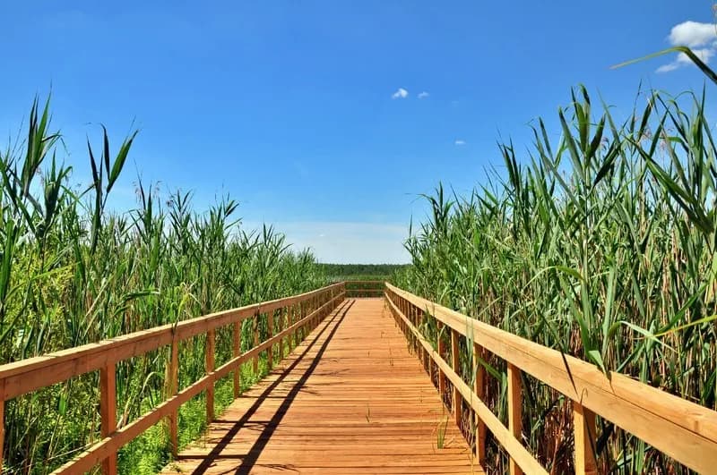 Gdzie w lubelskim na weekend pełen wrażeń? To najlepsze miejsca