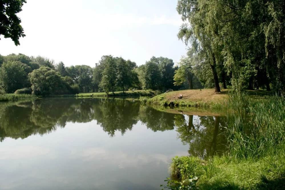 Najlepsze atrakcje w parku Świerklaniec, które musisz zobaczyć