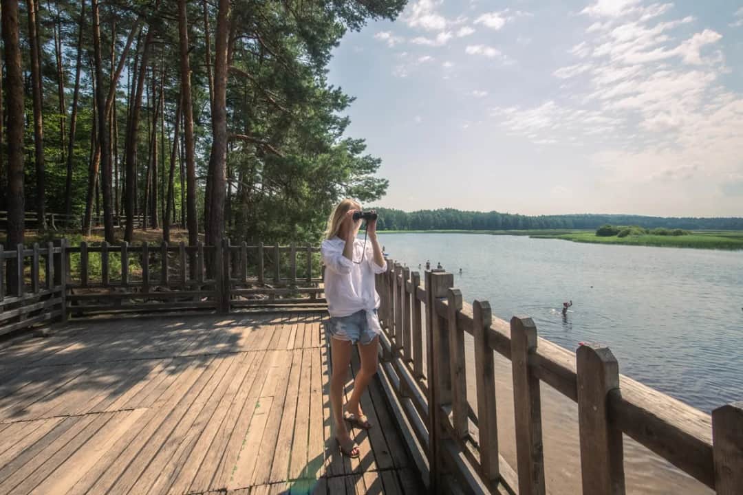 5 unikalnych miejsc Roztocza! Co warto zobaczyć w tym regionie?