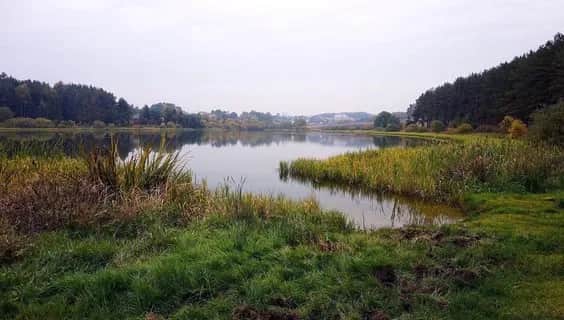 Jezioro Wysockie - najlepsze miejsce na wypoczynek nad wodą w Gdańsku