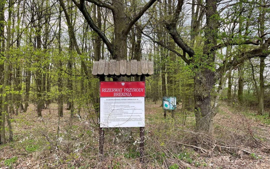 Rezerwaty przyrody Dolny Śląsk - Odkryj ich niezwykłe piękno i znaczenie