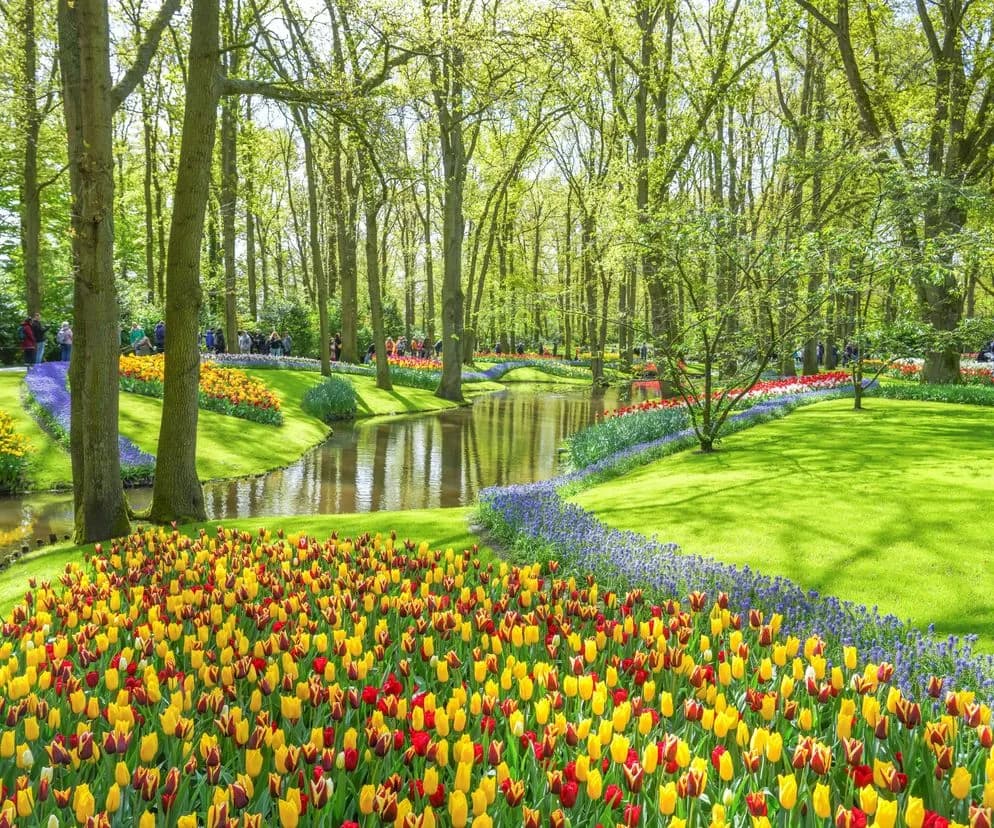 Keukenhof: najlepszy czas na wizytę i kwitnące tulipany