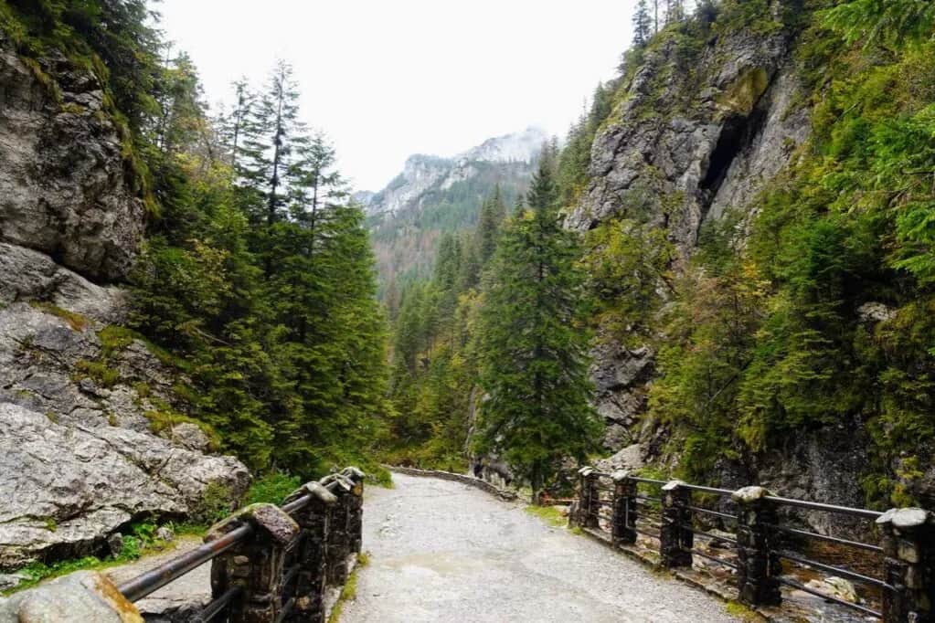 Łatwe szlaki górskie dla początkujących? Oto 5 tras bez stresu