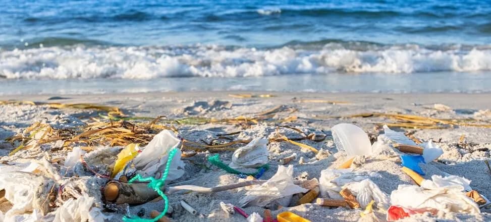 Dlaczego Bałtyk jest zanieczyszczony? Poznaj przyczyny i skutki Dlaczego Bałtyk jest zanieczyszczony? Poznaj przyczyny i skutki