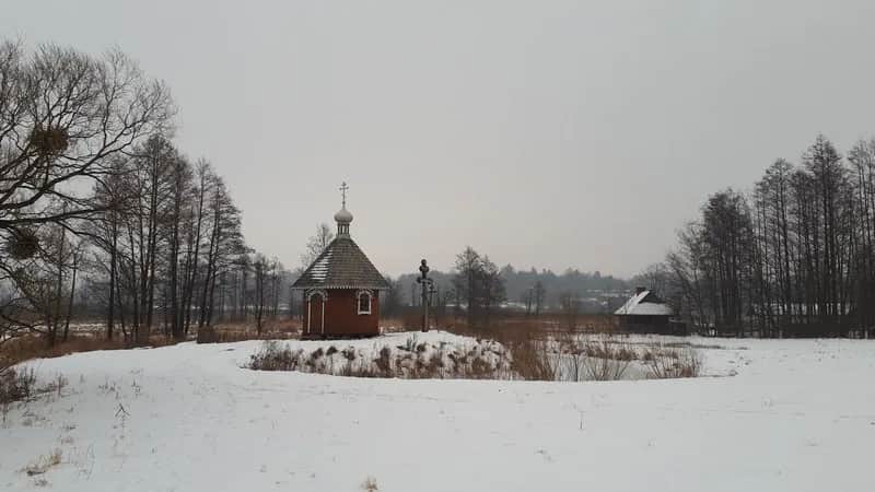 Czy Polana Białowieska zachwyca zimą bardziej niż latem? Porady