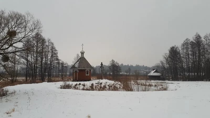 Czy Polana Białowieska zachwyca zimą bardziej niż latem? Porady