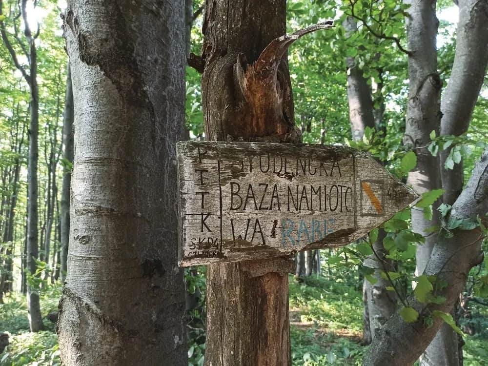 Gdzie w Polsce dziczej niż w Bieszczadach? Oto najdziksze miejsca!