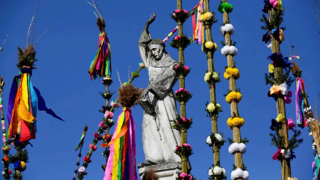 Czy w Lipnicy Murowanej rosną najwyższe palmy wielkanocne? Fakty