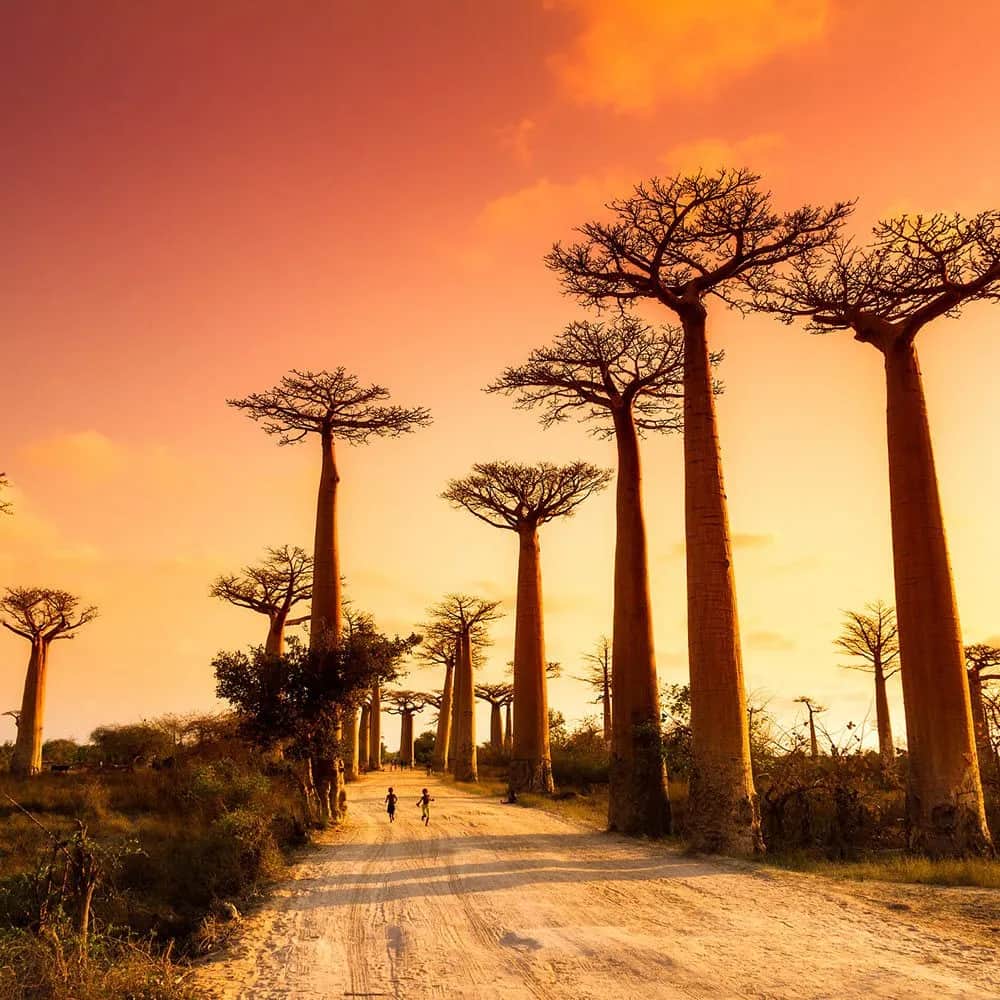 Madagaskar kiedy jechać? Najlepszy okres na niezapomnianą podróż