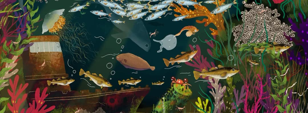 Co żyje w Bałtyku? Odkryj fascynujące gatunki i ich zagrożenia