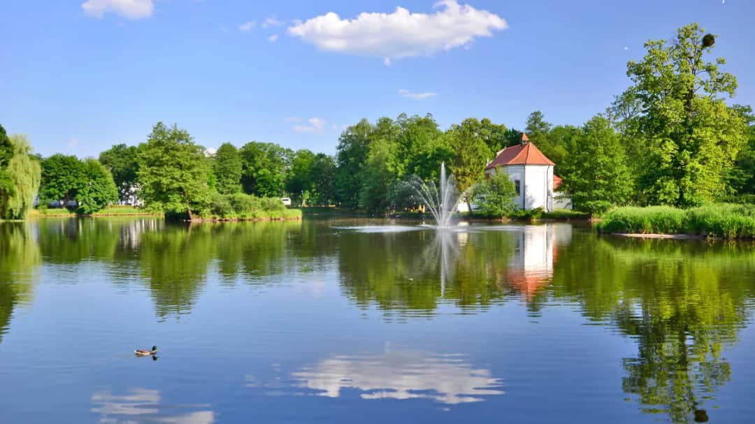 Jakie atrakcje Zwierzyńca zaskoczą Cię najbardziej? Co zobaczyc?