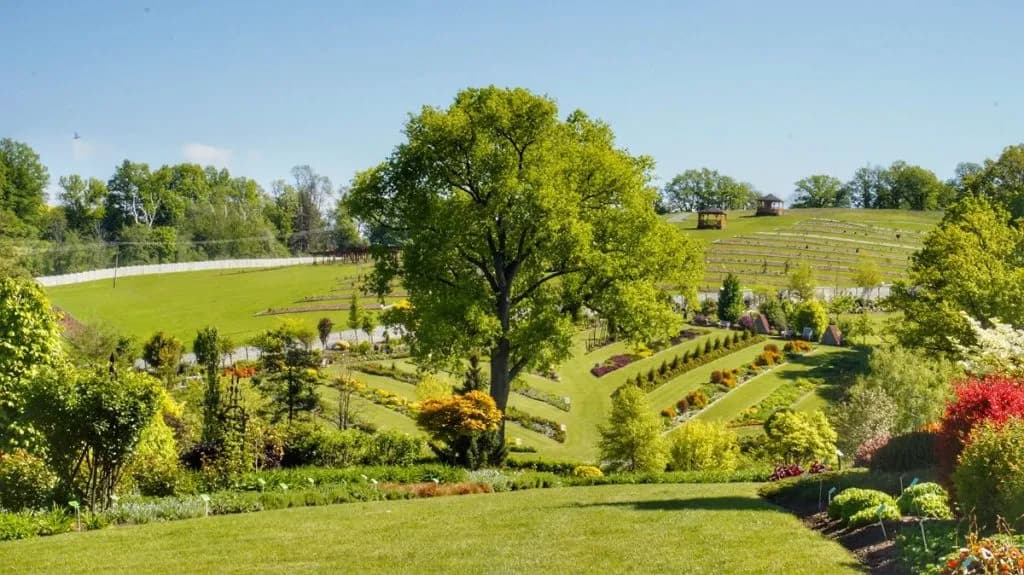 Wojsławice Arboretum: Magiczny czas zwiedzania w najpiękniejszych momentach roku