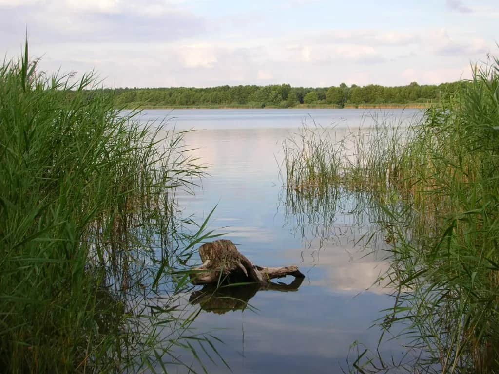 Jezioro Jezuickie: najlepsze kąpieliska i miejsca na rodzinny wypoczynek