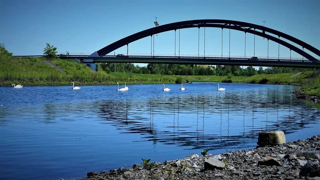 Jezioro Farskie - wszystko co musisz wiedzieć przed wędkowaniem w 2025