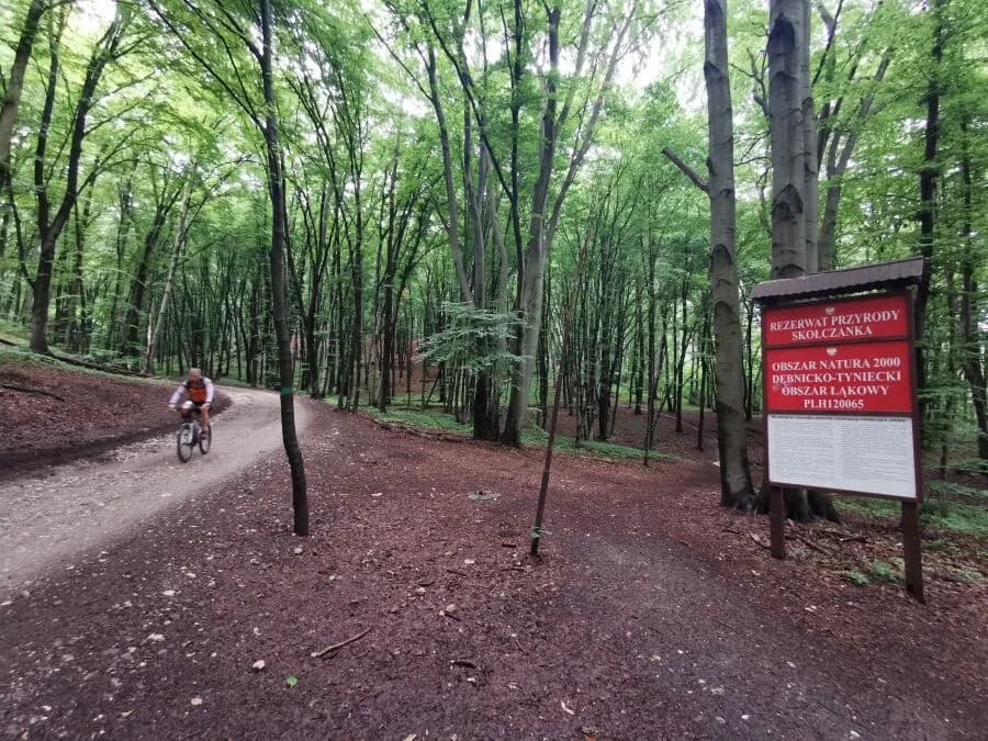 Czy Las Tyniecki to najlepsze miejsce na relaks w Krakowie? Analiza