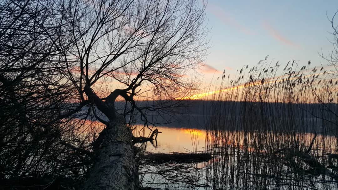 Jezioro Swarzędzkie: kompletny przegląd atrakcji i miejsc rekreacyjnych