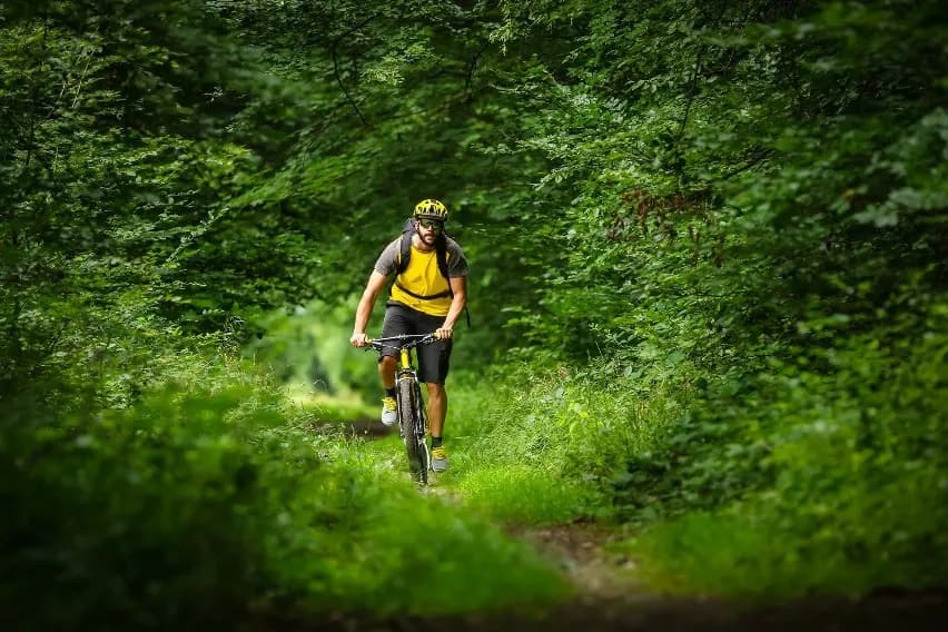 Jakie trasy rowerowe kryje Mogiła? 5 propozycji każdego cyklisty!