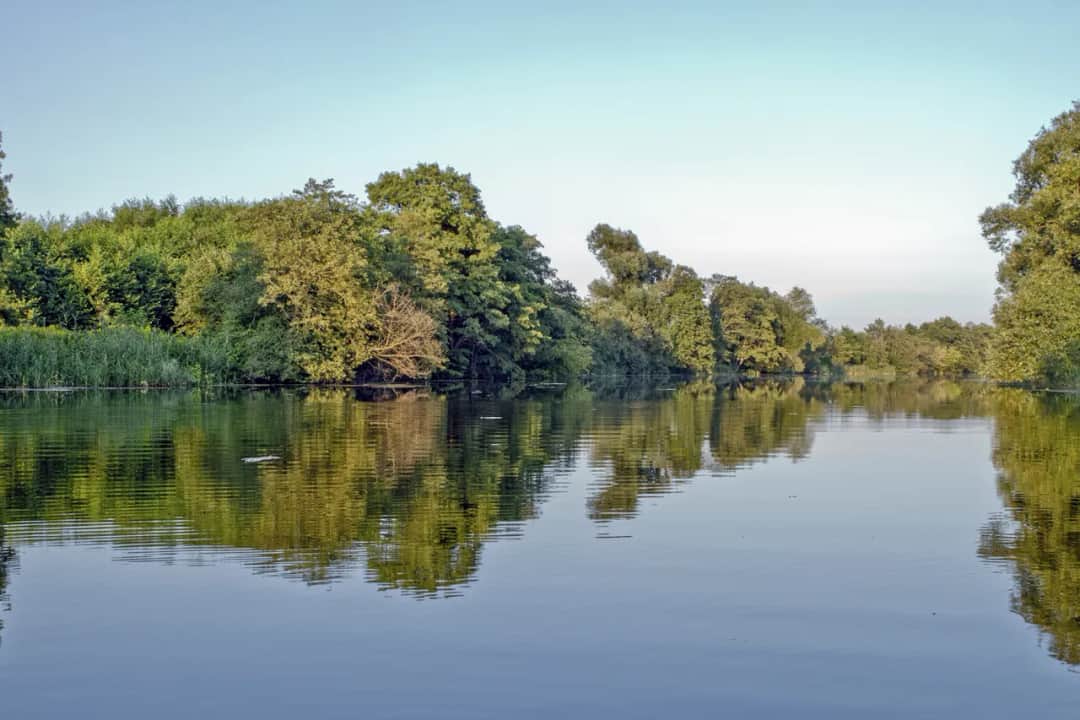 Jezioro Kiełpińskie - malowniczy rezerwat przyrody na obrzeżach Warszawy