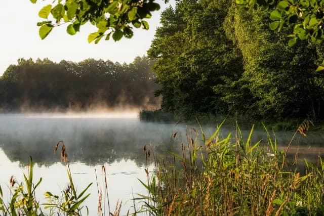 Jezioro Bytyńskie - najlepsze miejsca i atrakcje na wypoczynek w Wielkopolsce