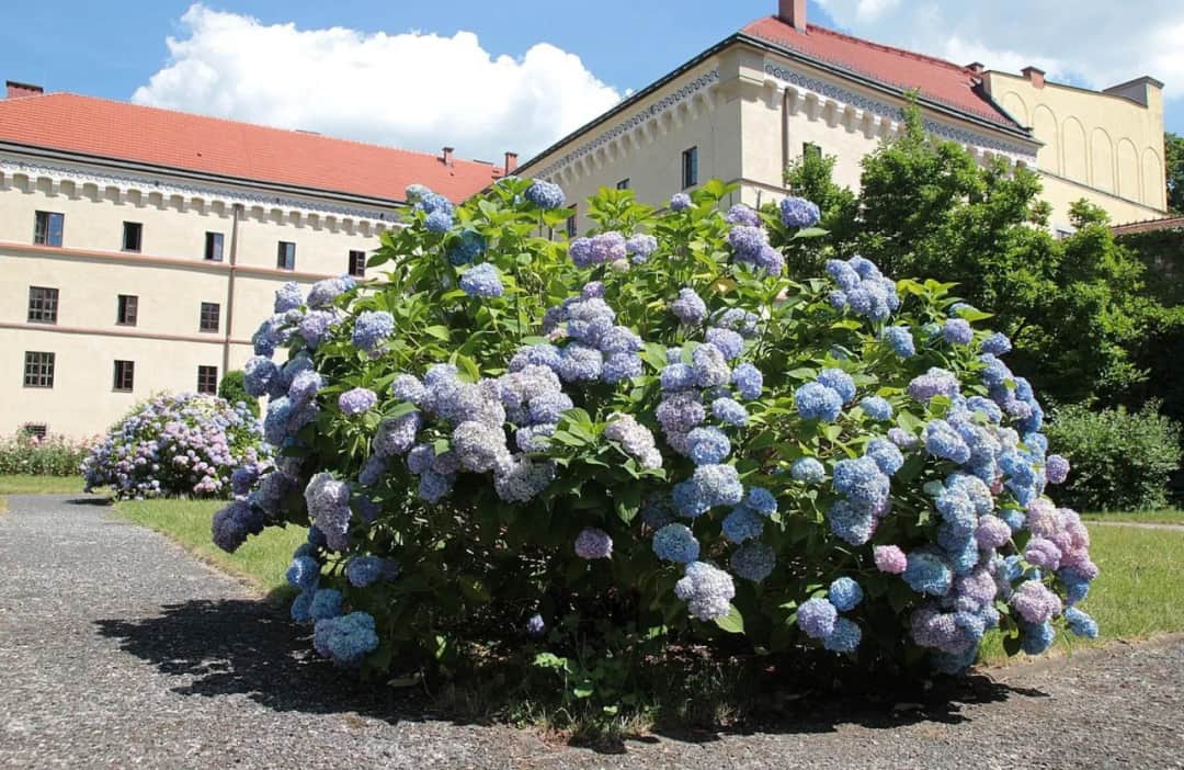 Czy ogrody Muzeum Archeologicznego to ten ukryty skarb Krakowa?