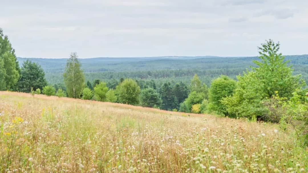 Czy Ty znasz te 7 fascynujących ciekawostek o Wyżynie Lubelskiej?