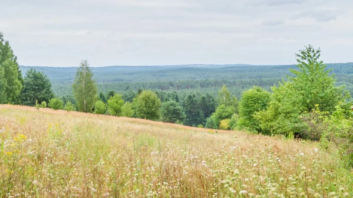 Czy Ty znasz te 7 fascynujących ciekawostek o Wyżynie Lubelskiej?