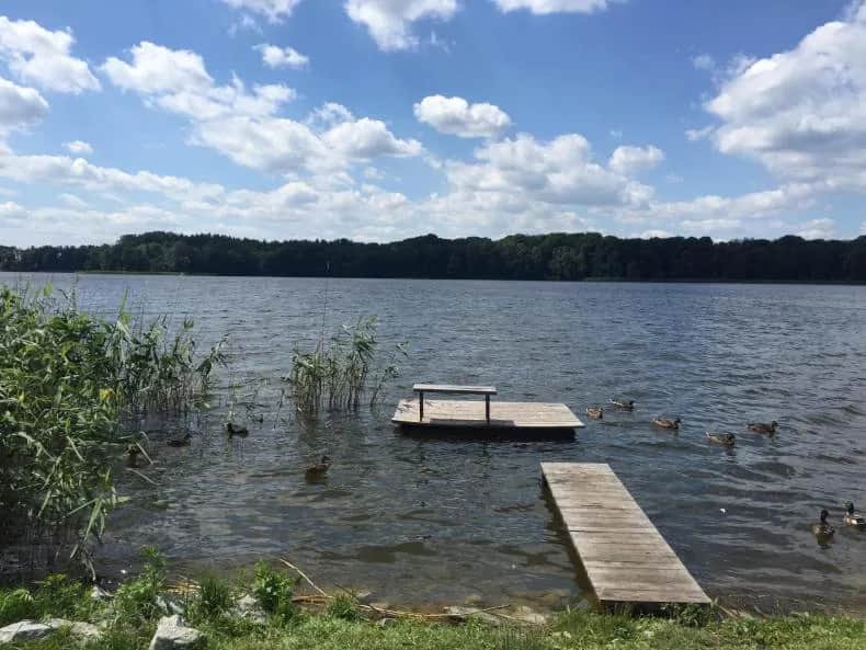 Jezioro Kórnickie - najlepszy sposób na aktywny wypoczynek z rodziną