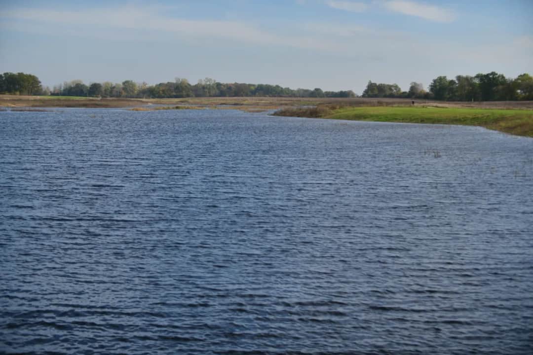 Jezioro Pątnowskie - najlepszy akwen na rodzinny wypoczynek w Wielkopolsce
