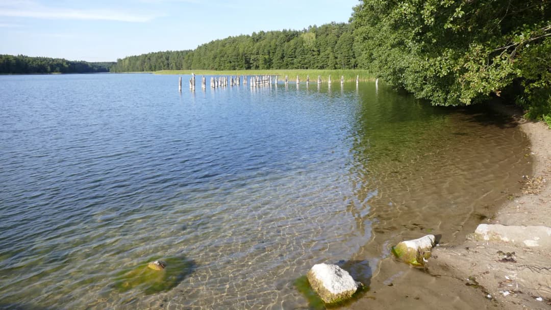 Jezioro Pluszne Wielkie - najlepsze miejsce na wypoczynek latem