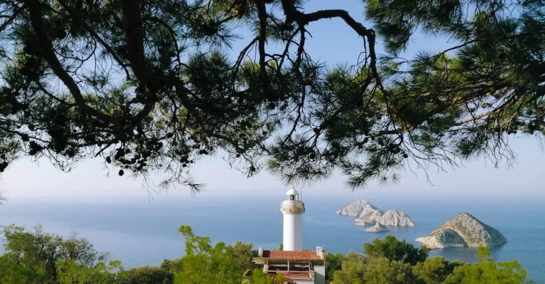 Rowerem z Pogorzelicy do Mrzeżyna? To pomorski szlak rowerowy!