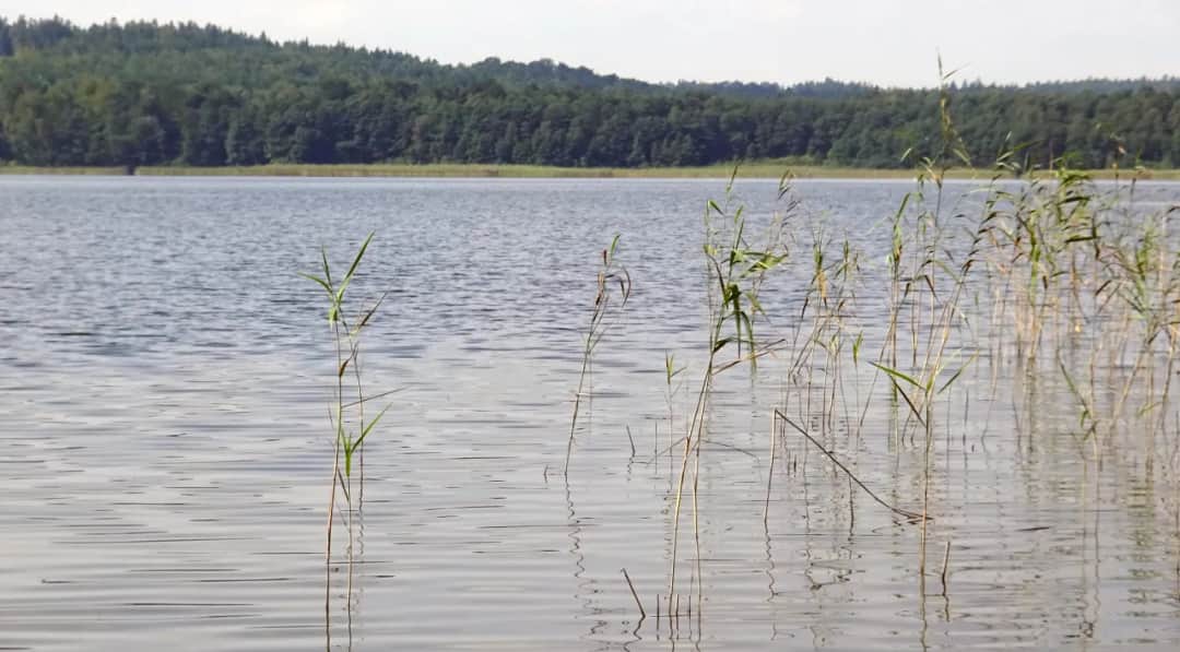 Jezioro Choczewskie - raj dla turystów i wędkarzy na Pomorzu