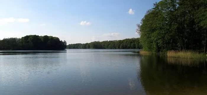 Jezioro Jankowskie - malowniczy raj dla miłośników wypoczynku na plaży
