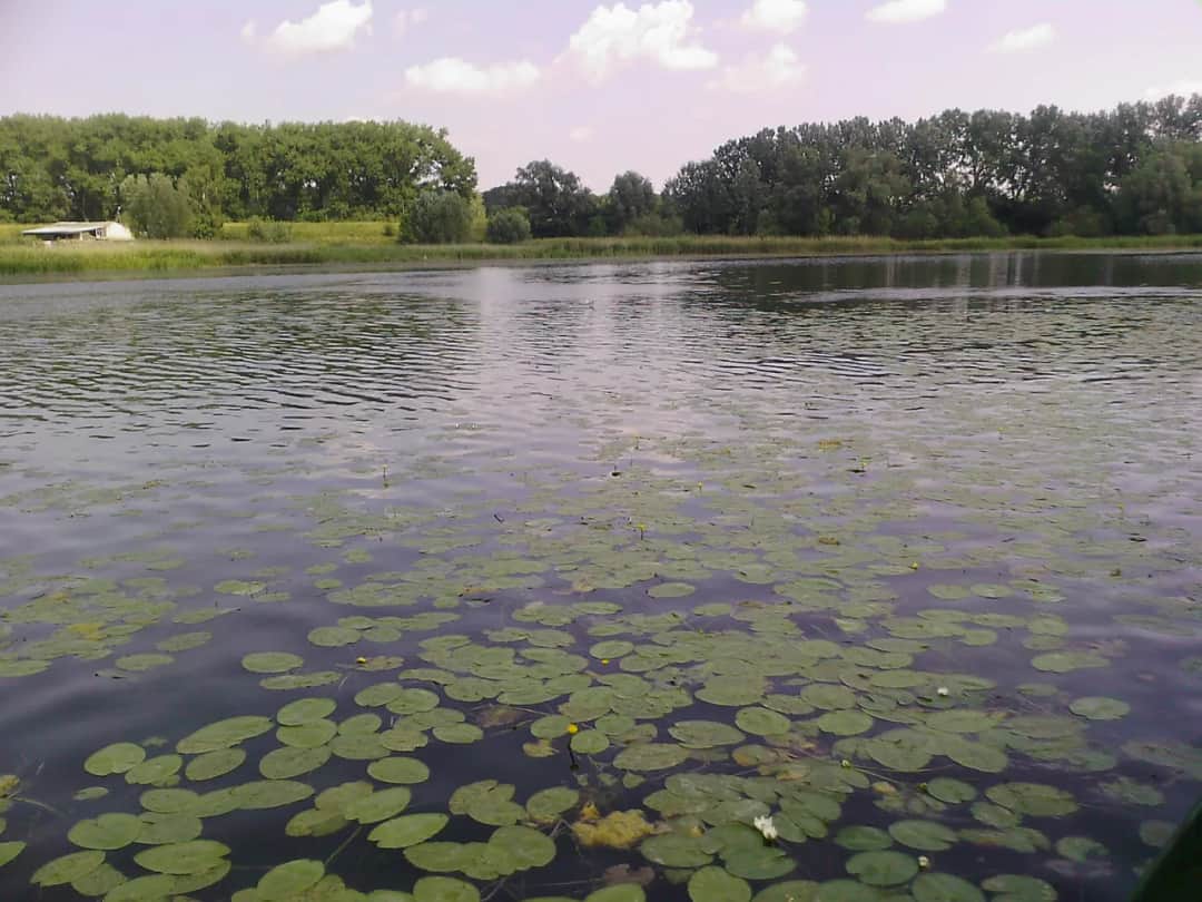 Jezioro Starogrodzkie: najlepsze miejsce na rodzinny wypoczynek w Chełmnie