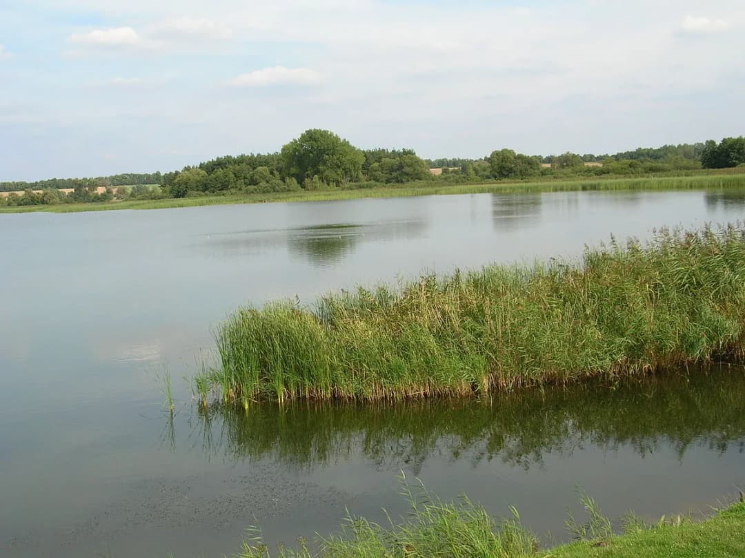 Jezioro Biskupińskie: fascynująca historia polskich Pompejów sprzed 2700 lat