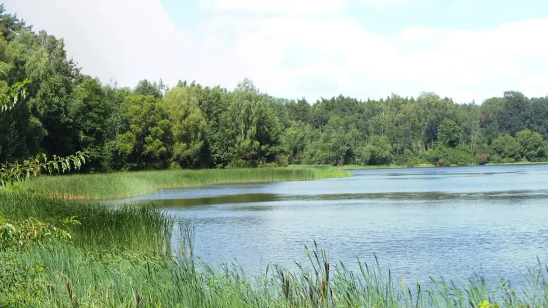 Najlepsze atrakcje nad Jeziorem Kowalskim: kompletny plan wypoczynku