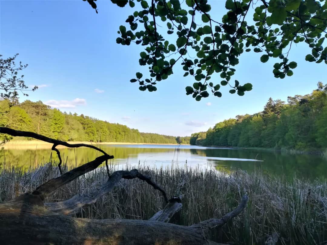 Jezioro Jarosławieckie: relaks i kąpielisko blisko Poznania - nieznane perełki